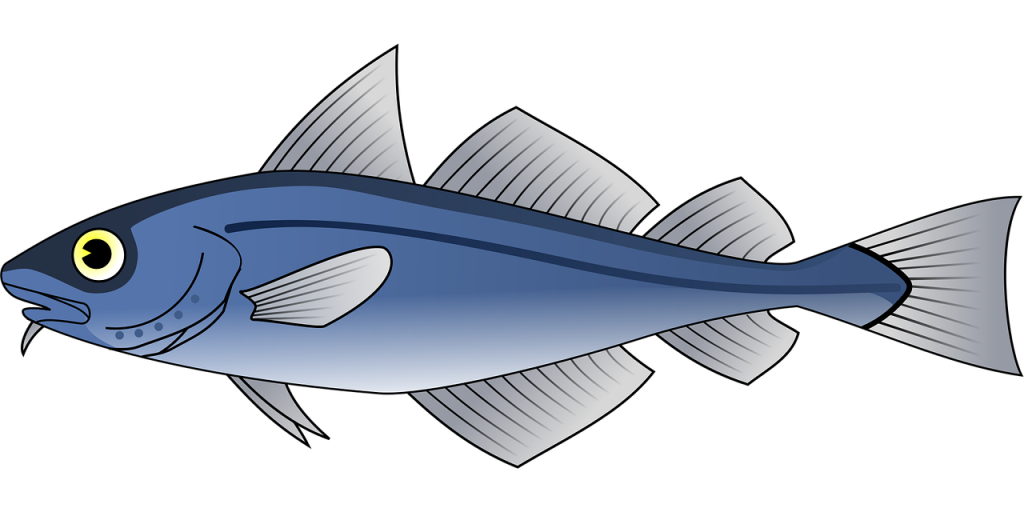 découvrez comment la traçabilité des produits de la mer garantit leur origine, leur qualité et une pêche plus responsable.